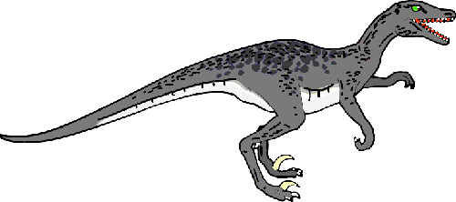 raptor